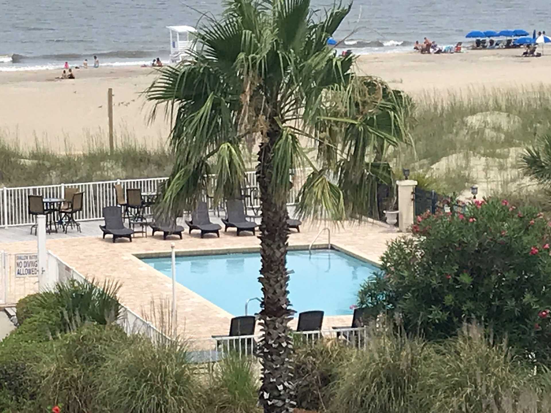 Oceanfront Condo 303 Desoto